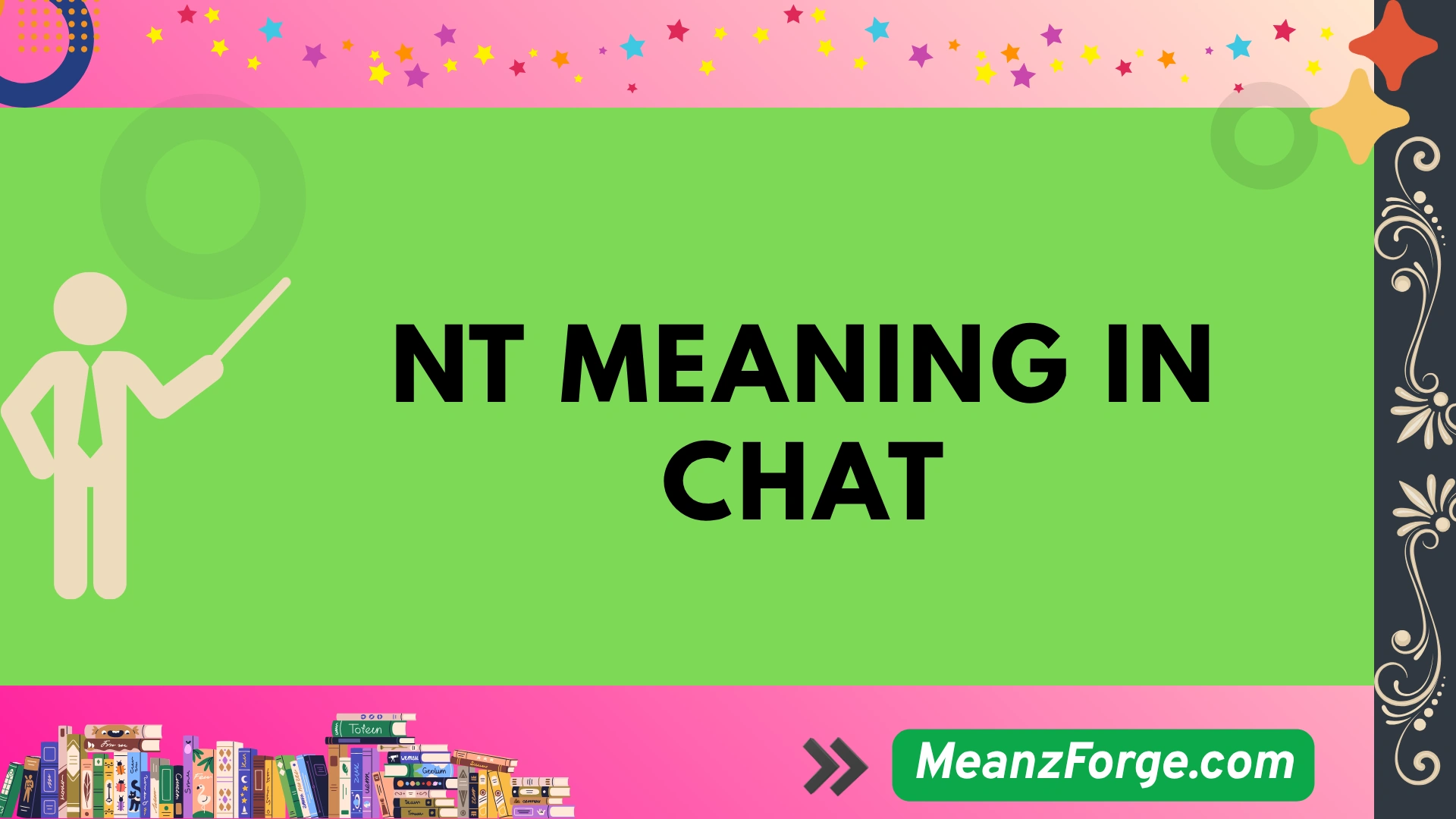 nt meaning in chat