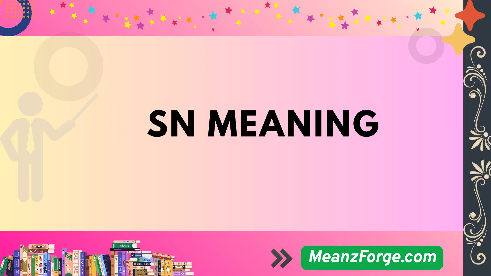 sn meaning