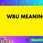 What Does WBU Mean in Text? Meaning, Uses & Examples WBU meaning