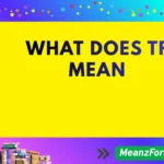 What Does TF Mean? The Internet Slang Everyone Uses But Nobody Explains what does tf mean