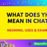 What Does YH Mean in Chat? Meaning, Texting & Social Media Use What Does YH Mean in Chat