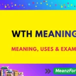 What Does WTH Mean in Text? Complete Slang Guide wth meaning