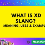 What Is XD Slang? Meaning, Uses & Examples xd meaning in text