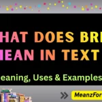 what does brb mean in text